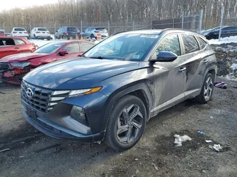 2023 Hyundai Tucson 5NMJFCAE1PH244989 Lot 77295915