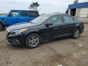 2016 Hyundai Sonata 5NPE24AF1GH316594 Lot 74113065
