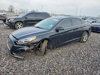 2019 Hyundai Sonata 5NPE34AFXKH731838 Lot 46831466