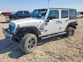 2017 Jeep Wrangler 1C4BJWDG2HL621704 Lot 79792315