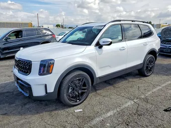 2025 Kia Telluride 5XYP5DGC4SG722267 Lot 48458336