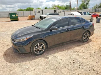 2022 Kia Forte 3KPF24AD9NE438706 Lot 49133756