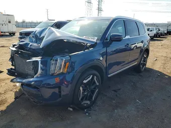 2025 Kia Telluride 5XYP3DGC3SG650516 Lot 48062446