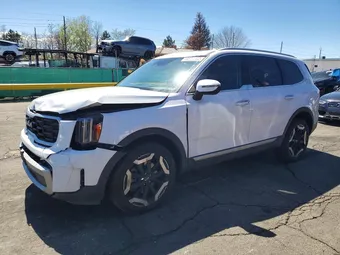2023 Kia Telluride 5XYP6DGC3PG368875 Lot 48586996