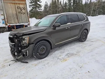 2021 Kia Telluride 5XYP5DHC9MG162957 Lot 98081015
