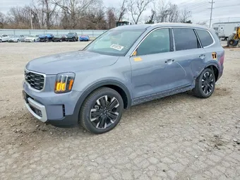 2025 Kia Telluride 5XYP54GC0SG623106 Lot 98109725