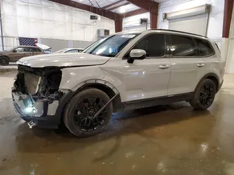 2021 Kia Telluride 5XYP5DHC1MG140001 Lot 79408015