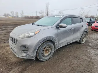 2017 Kia Sportage KNDPM3AC5H7106444 Lot 49147786