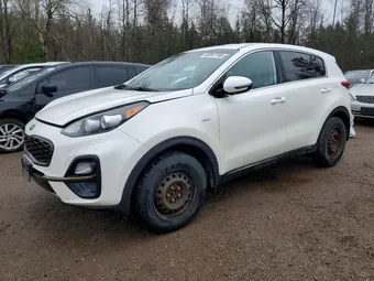 2020 Kia Sportage KNDPMCAC6L7824223 Lot 49287196