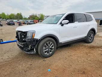 2024 Kia Telluride 5XYP2DGC1RG494022 Lot 52702866