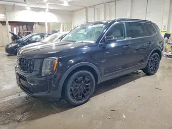 2021 Kia Telluride 5XYP3DHC2MG104338 Lot 50481096