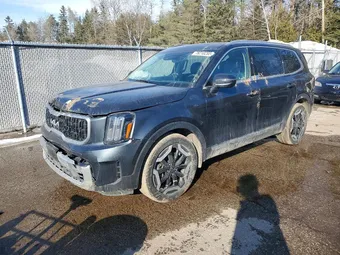 2023 Kia Telluride 5XYP3DGC2PG360467 Lot 78210255