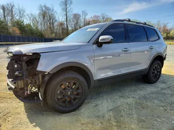2024 Kia Telluride 5XYP5DGCXRG417642 Lot 79052565