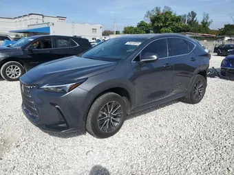 2024 Lexus NX 250 2T2ADCAZ9RC014355 Lot 91814975