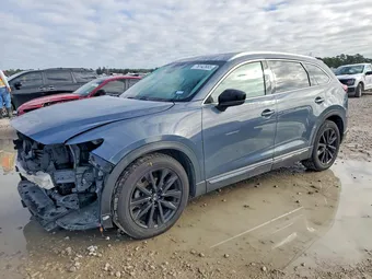 2021 Mazda CX-9 JM3TCBDY6M0508566 Lot 76142665