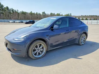 2023 Tesla Model Y 7SAYGDEE8PA054815 Lot 49389266