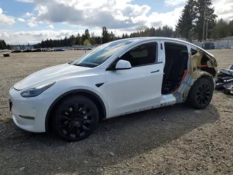 2021 Tesla Model Y 5YJYGDEE4MF182206 Lot 49554996