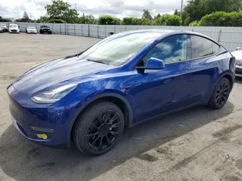 2020 Tesla Model Y 5YJYGDEE9LF034664 Lot 50795066