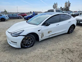 2021 Tesla Model 3 5YJ3E1EA2MF027911 Lot 49331176