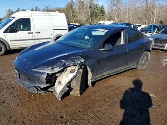 2024 Tesla Model 3 LRW3E7FA6RC093865 Lot 41727566