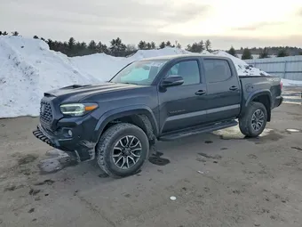 2023 Toyota Tacoma 3TMCZ5AN4PM650516 Lot 79971195