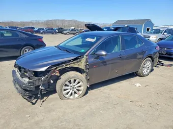 2019 Toyota Camry 4T1B11HK9KU287864 Lot 49224386