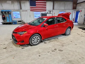 2019 Toyota Corolla 2T1BURHE7KC184380 Lot 48491266