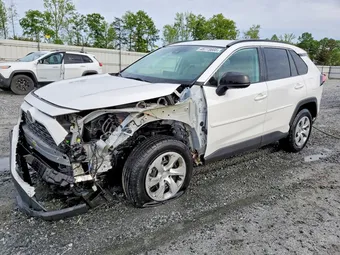 2019 Toyota RAV4 2T3H1RFV7KW041084 Lot 48773666