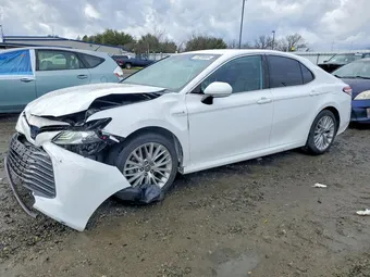 2019 Toyota Camry 4T1B21HK2KU516768 Lot 77876005