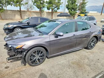 2021 Toyota Camry 4T1G31AK0MU567802 Lot 49982756