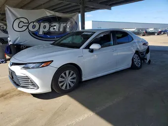 2021 Toyota Camry 4T1C31AK4MU567381 Lot 50118576