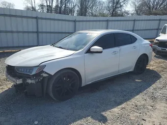2019 Acura TLX 19UUB3F49KA006305