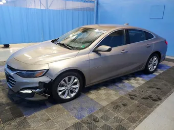 2023 Chevrolet Malibu 1G1ZD5ST5PF139072 Lot 51513846