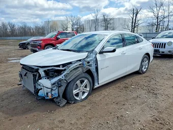 2024 Chevrolet Malibu 1G1ZB5STXRF126262 Lot 48630366