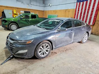 2020 Chevrolet Malibu 1G1ZD5ST2LF124863 Lot 49707886