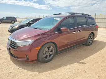 2021 Honda Odyssey 5FNRL6H50MB003084 Lot 48731566