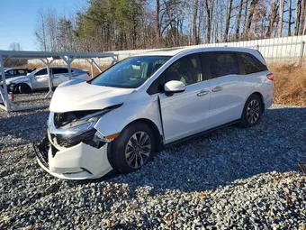 2024 Honda Odyssey 5FNRL6H62RB070382 Lot 73188535