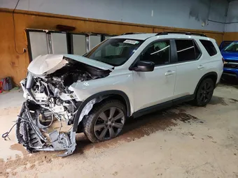 2023 Honda Pilot 5FNYG1H37PB053213 Lot 49067026