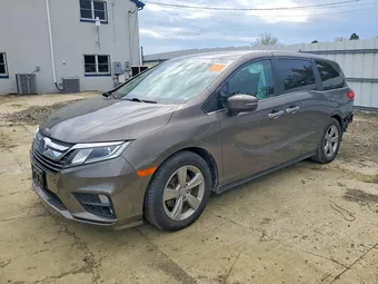 2020 Honda Odyssey 5FNRL6H50LB064241 Lot 48349866