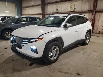 2023 Hyundai Tucson 5NMJB3AE4PH235389 Lot 49631286