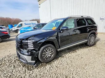 2026 Hyundai Palisade KM8RGES22TU025022
