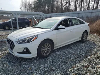 2019 Hyundai Sonata 5NPE24AF4KH743146 Lot 79841755