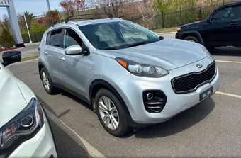 2019 Kia Sportage KNDPMCAC7K7550528 Lot 53143556
