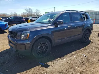 2025 Kia Telluride 5XYP3DGC2SG684379 Lot 47693546