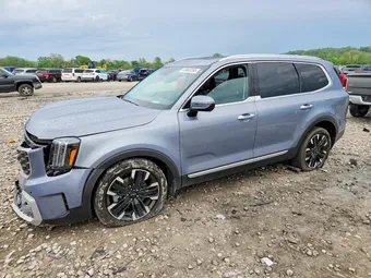 2024 Kia Telluride 5XYP5DGC8RG434357 Lot 49863396