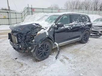 2021 Kia Telluride 5XYP5DHC2MG123546 Lot 74988465