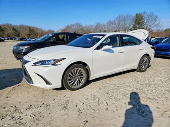 2019 Lexus ES JTHB21B13K2035457 Lot 48943366
