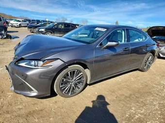 2024 Lexus ES 58ADZ1B17RU178274 Lot 42078206
