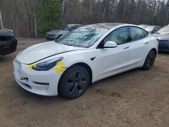 2023 Tesla Model 3 5YJ3E1EA7PF556839 Lot 49619526
