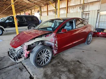 2024 Tesla Model 3 5YJ3E1EBXRF835343 Lot 49649356